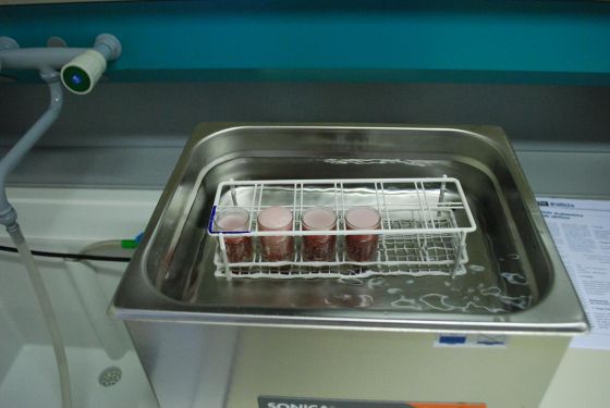 processo di degasificazione eliminazione CO2 da campioni di vino